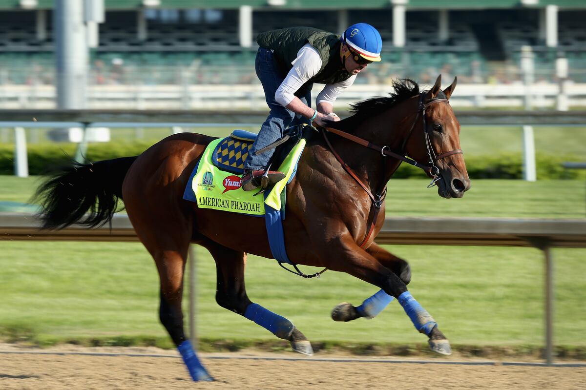 Kentucky Derby 2015 Post Time, Post Positions and Full TV Coverage