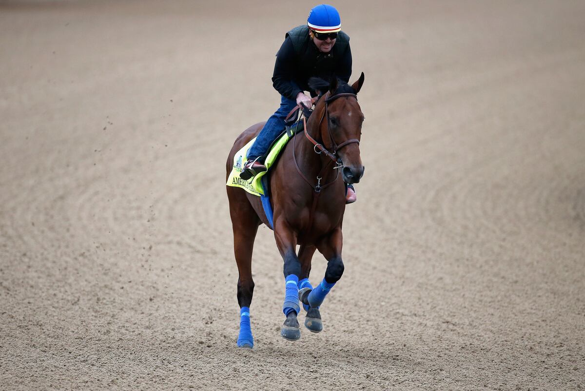 Kentucky Derby Entries 2015 Final Odds and Predictions for Entire