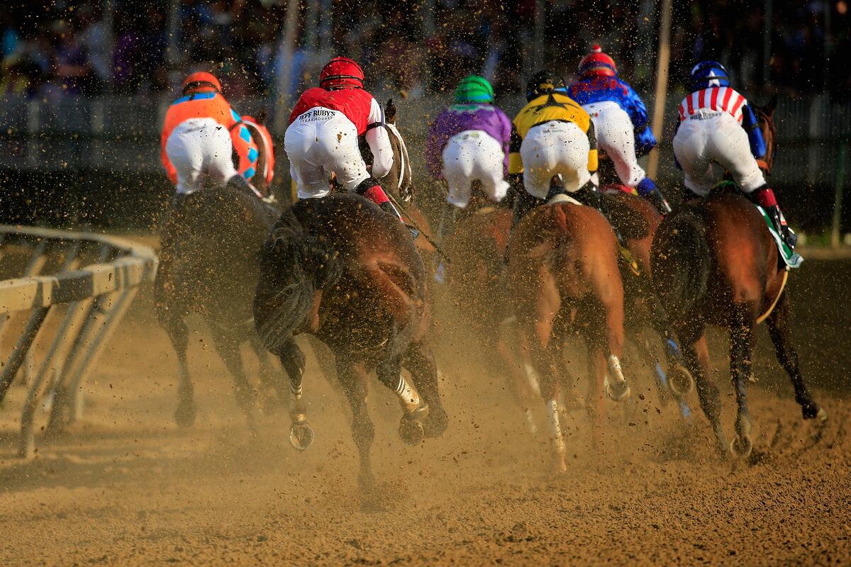 Preakness 2015 Field Handicapping the Horses at Pimlico News, Scores