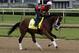 Danzig Moon, ridden by exercise rider William Cano, gallops at Churchill Downs in Louisville, Ky., Thursday, April 30, 2015. (AP Photo/Garry Jones)