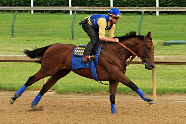 Preakness 2015 Post Time: Race Schedule, Post-Positions Info and Prediction