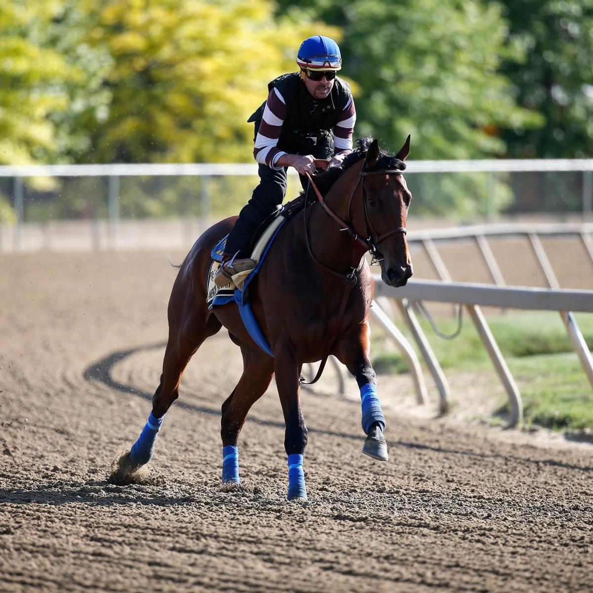 2015 Preakness Race Info, NBC Schedule, Entry Field and Post Positions