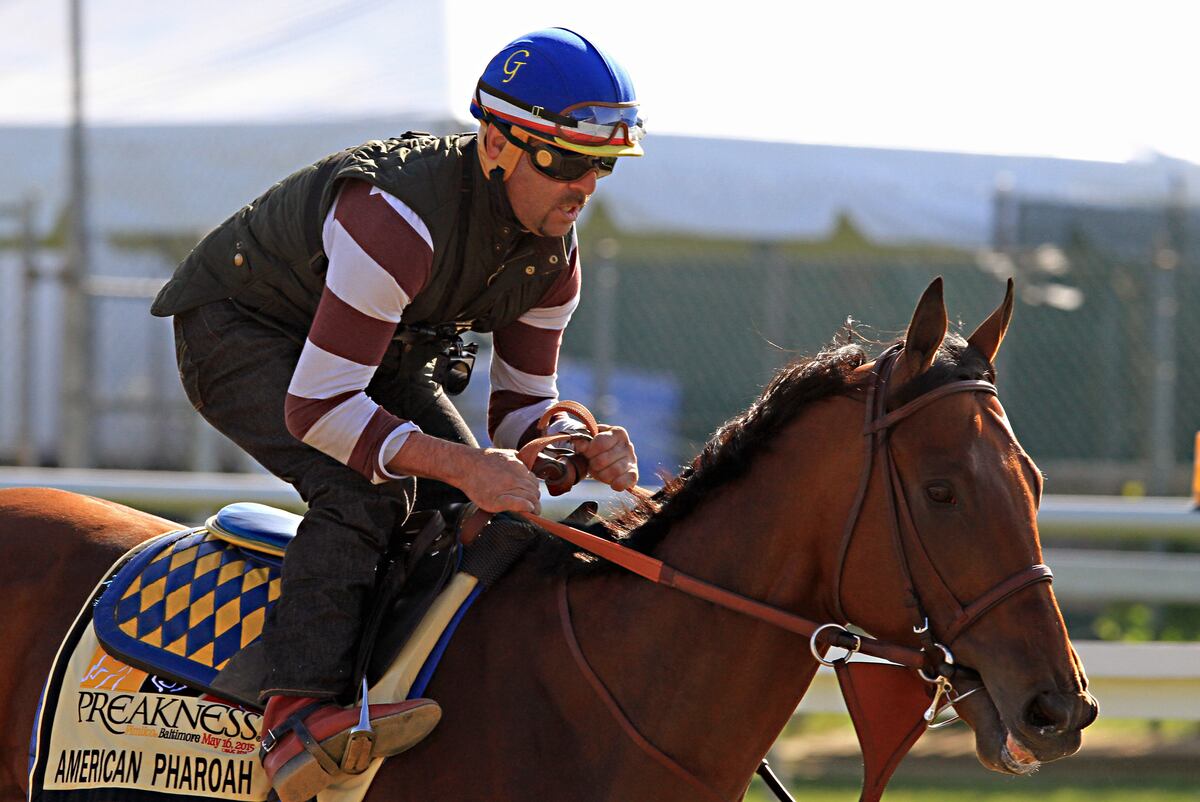 Preakness entries 2015 final odds and predictions for entire field