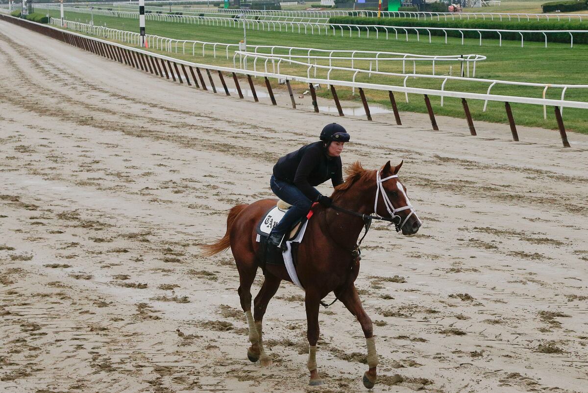 Belmont Stakes 2015 Latest Odds, Lineup Info and Top Horses for Elmont