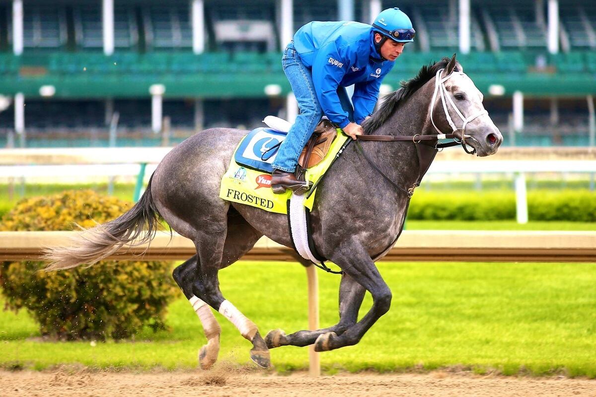 2015 Belmont Stakes Horses Ranking Every Contender in New York News