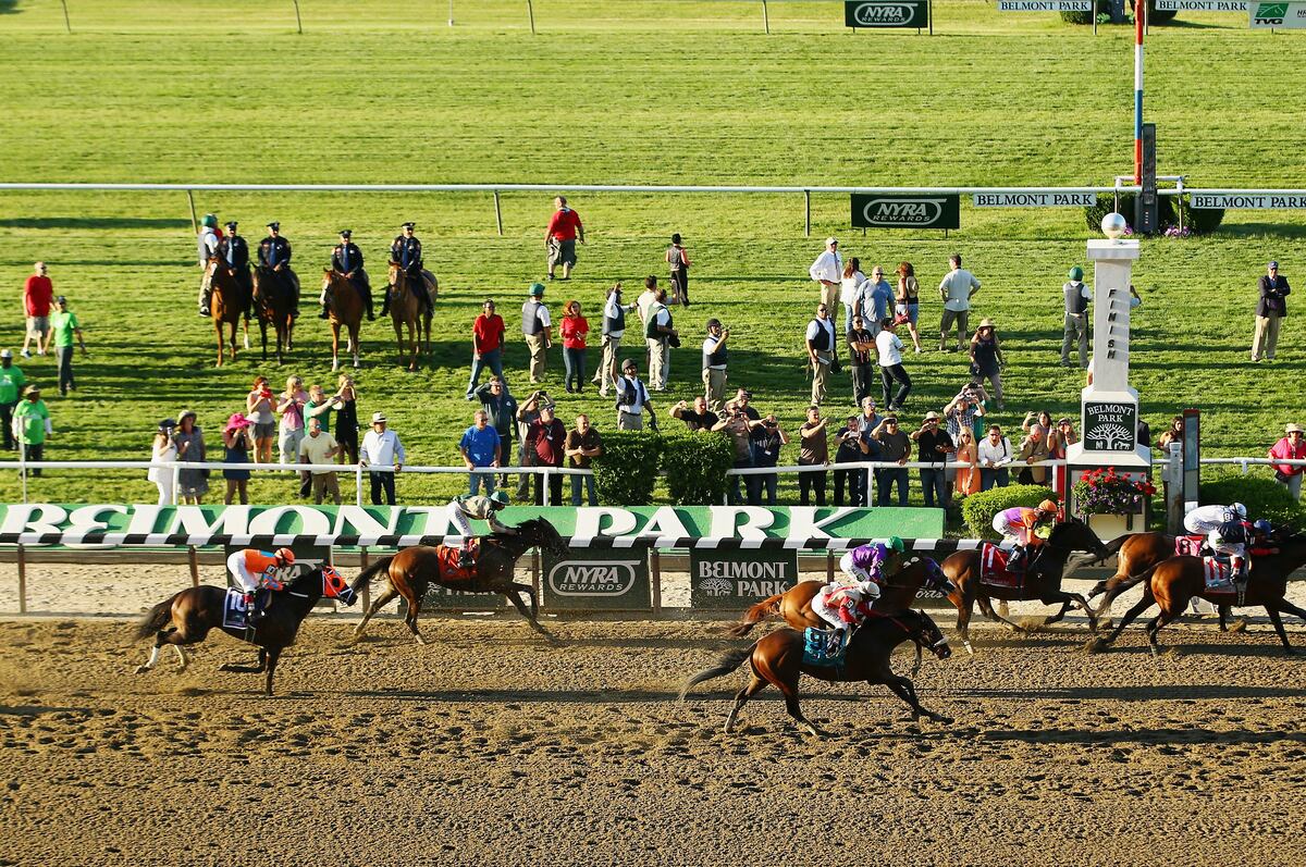 Belmont Stakes Field 2015 Final Outlook for Undercard, Stakes Lineup