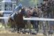 Jockey Victor Espinoza eases up American Pharoah (5) after crossing the finish line to win the 147th running of the Belmont Stakes horse race at Belmont Park, Saturday, June 6, 2015, in Elmont, N.Y. American Pharoah is the first horse to win the Triple Crown since Affirmed won it in 1978. (AP Photo/Bill Kostroun)