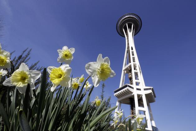 In this photo taken Wednesday, March 4, 2015, daffodils bloom in view of the Space Needle in Seattle. Northwest residents may think spring has arrived early as sunshine and high temperatures nearing 60 are forecast through the weekend. The National Weather Service says a high pressure ridge will dominate most of the region, keeping things dry. High temperatures will be above normal, though nighttime lows east of the Cascades will be in the 30s or below freezing in places. (AP Photo/Elaine Thompson)