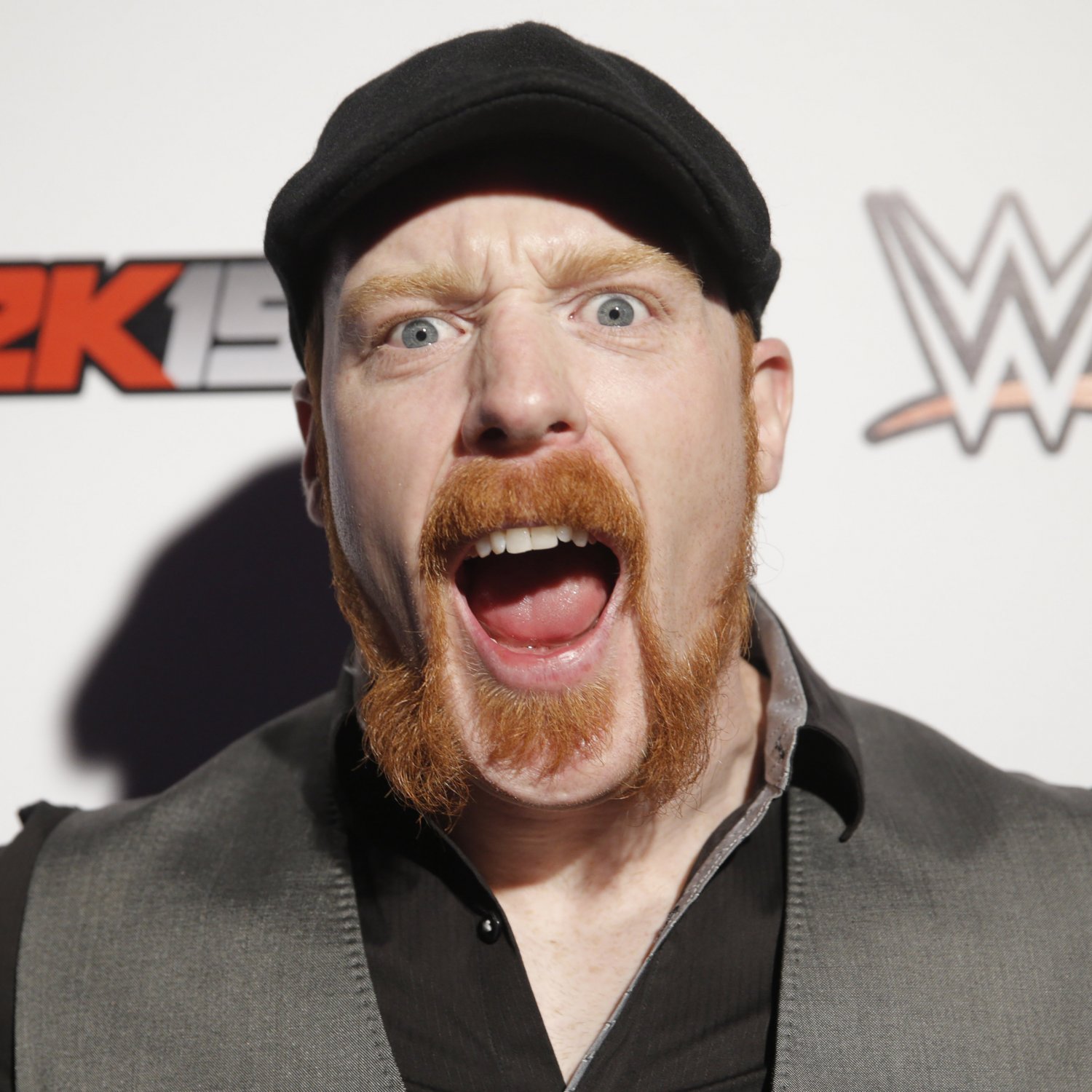 Sheamus Wins WWE Championship After Cashing in Money in the Bank vs ...