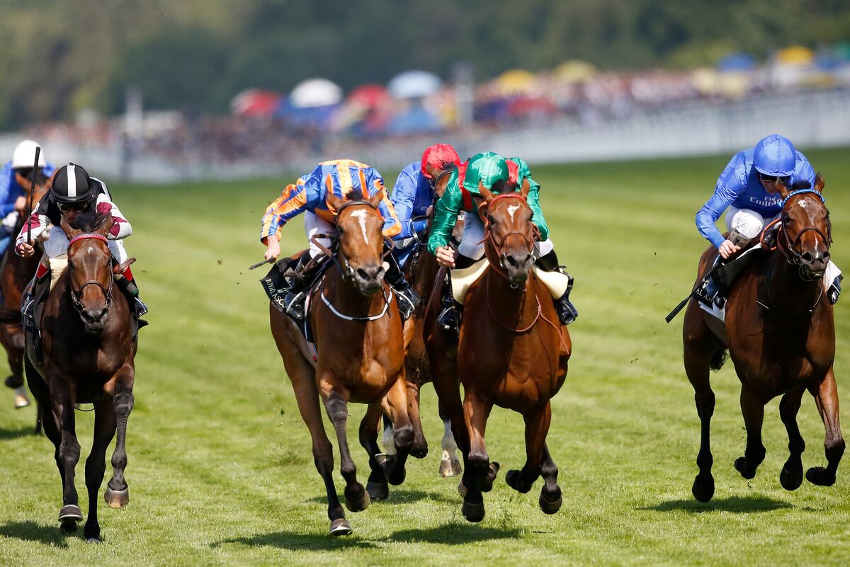 Royal Ascot Results 2015 Winners, Payouts, Orders of Finish for Friday