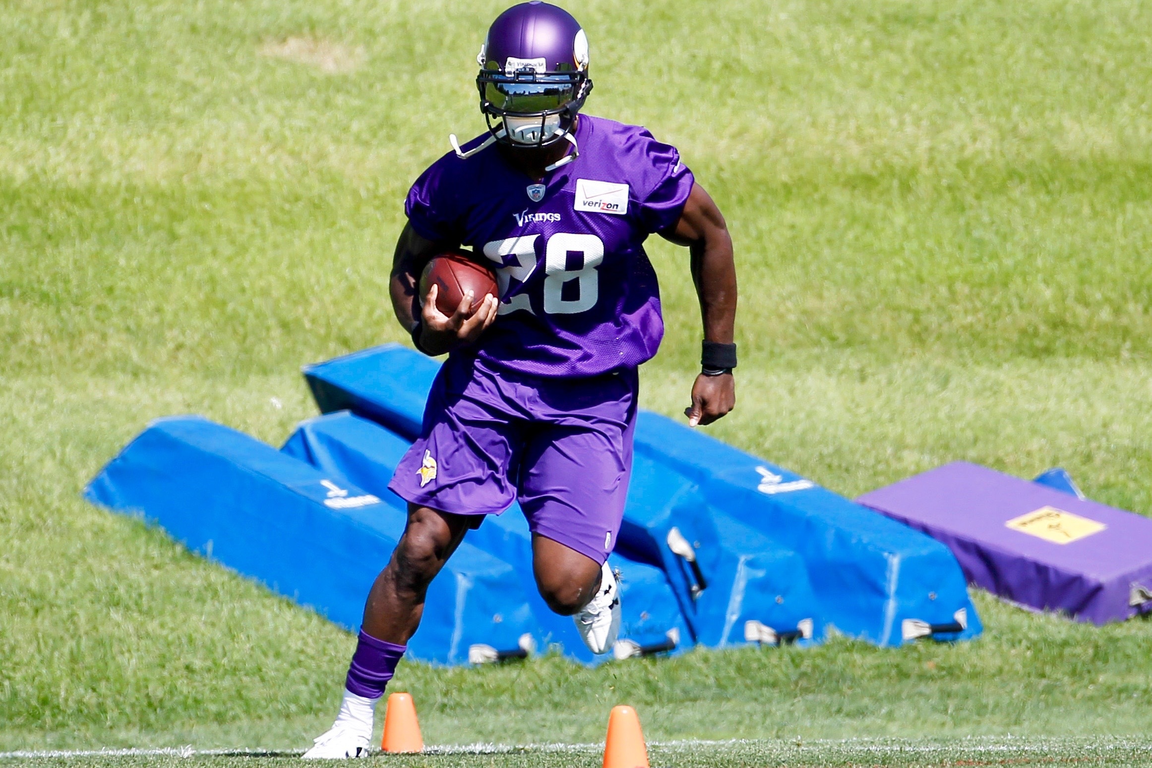 Vikings: Jim Brown says Adrian Peterson could break NFL rushing