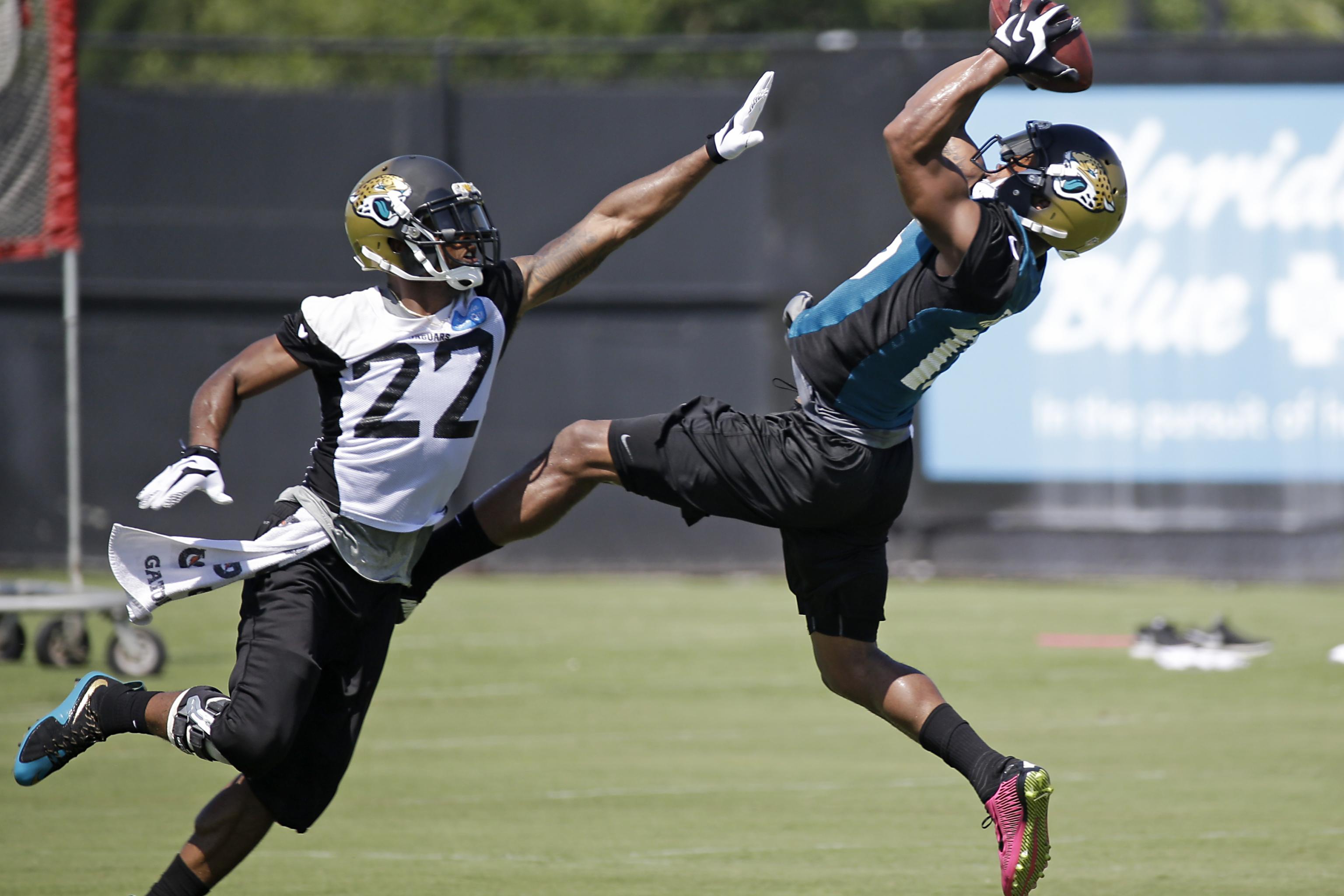 Allen Robinson enjoying breakout second season with Jaguars