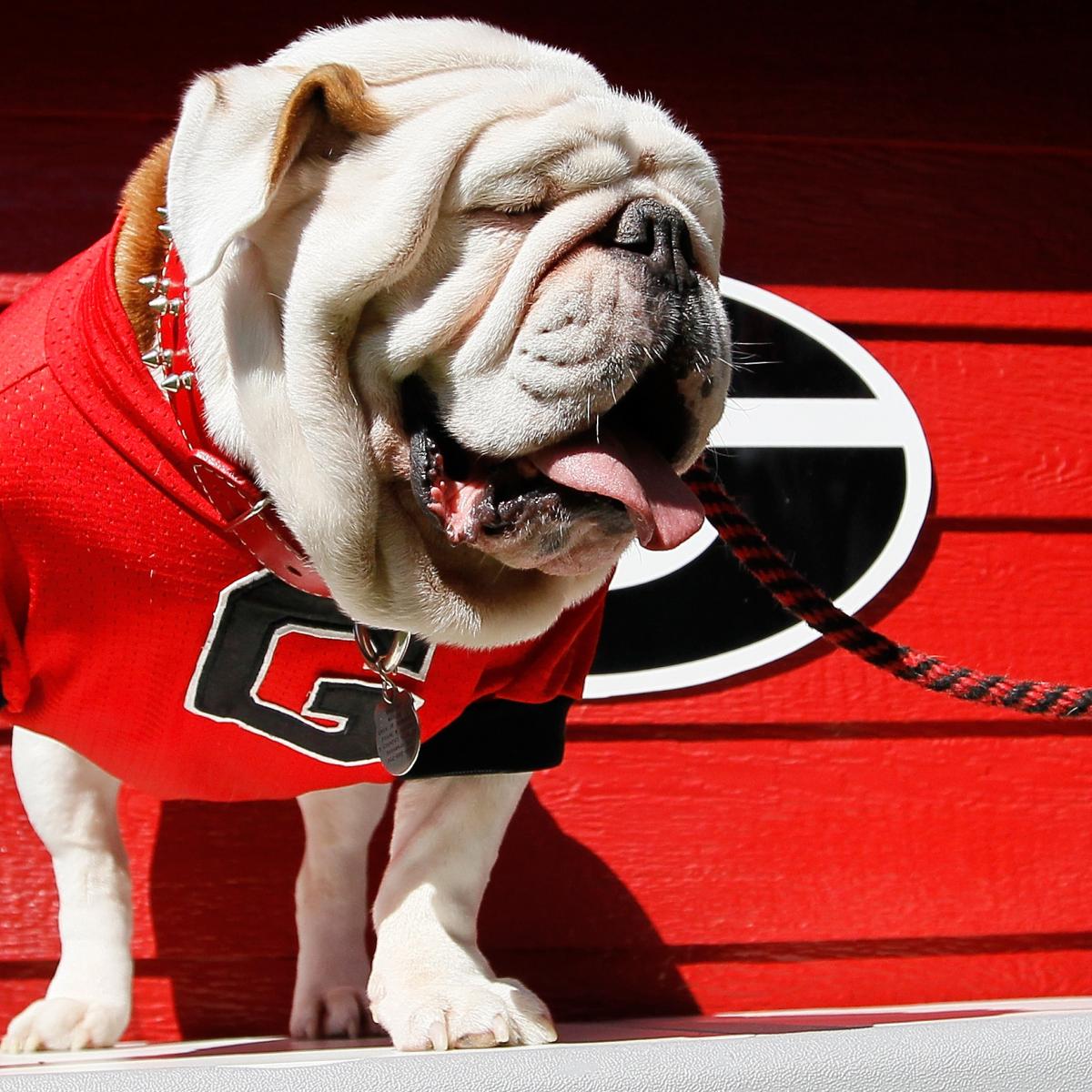 Georgia To Introduce New Mascot Uga X During 2015 Season Bleacher Report Latest News Videos 