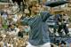 Roger Federer of Switzerland reacts after winning the mens final against Andre Agassi of the United States, at the US Open tennis tournament in New York, Sunday, Sept. 11, 2005. Federer won 6-3, 2-6, 7-6 (1), 6-1. (AP Photo/Richard Drew)