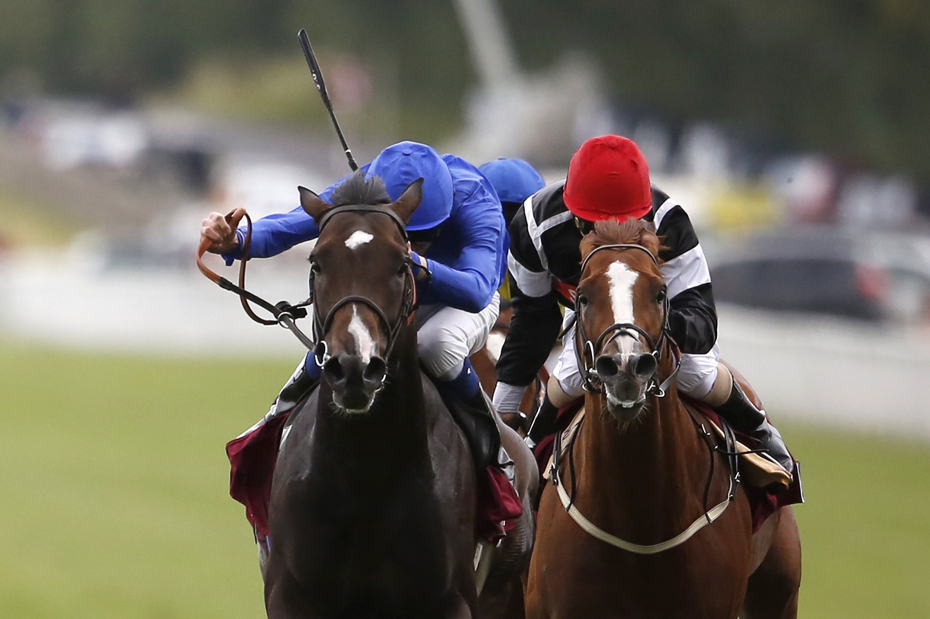 Glorious Goodwood 2015 Winners Finishing Results And Prize Money Payouts Bleacher Report Latest News Videos And Highlights