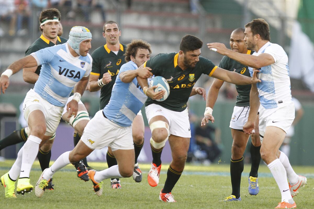 South Africa vs Argentina: The Brutal Truth About Rugby’s Most Underrated Rivalry