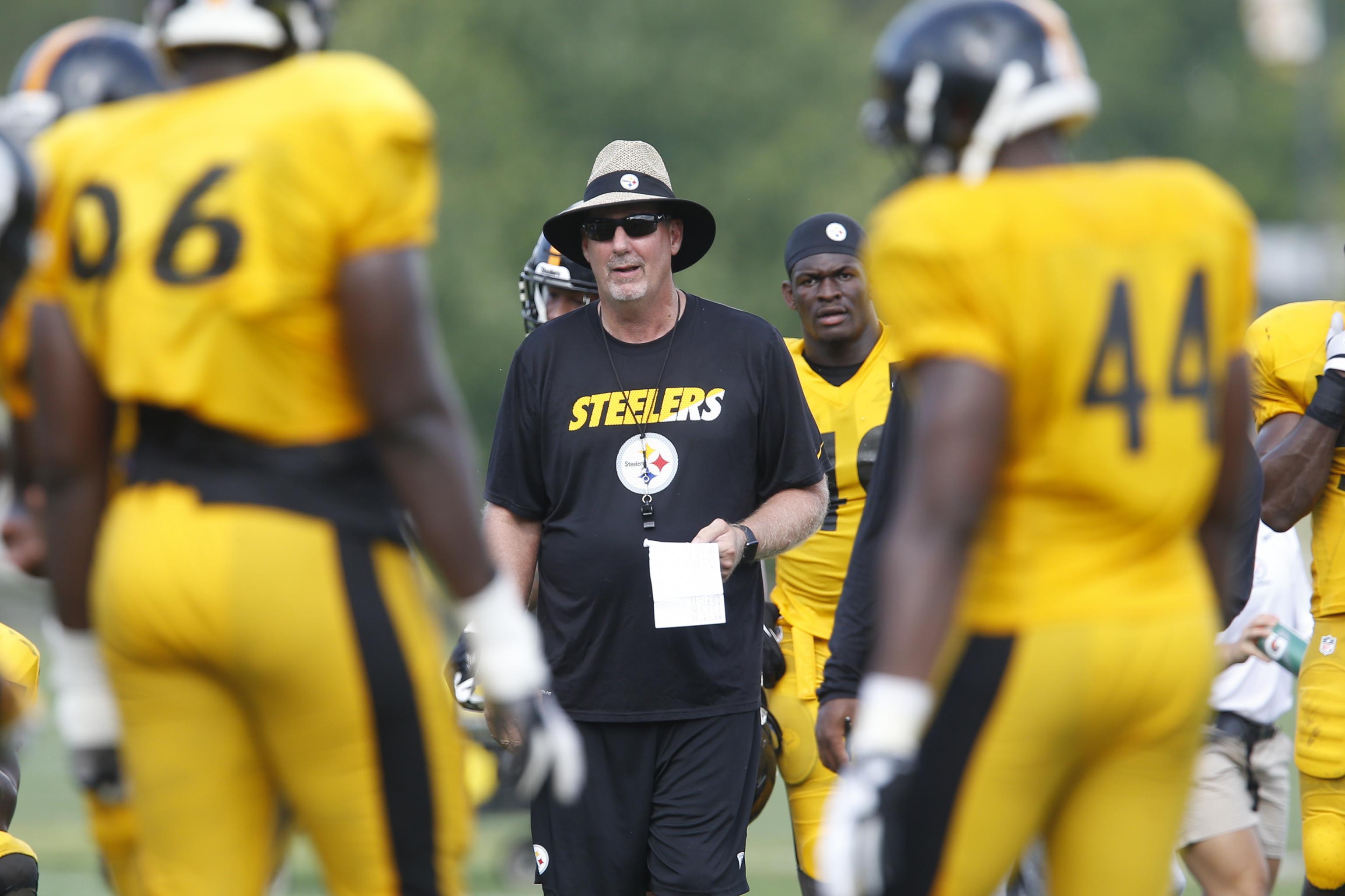 Pittsburgh Steelers' Casey Hampton reacts to a touchdown by the