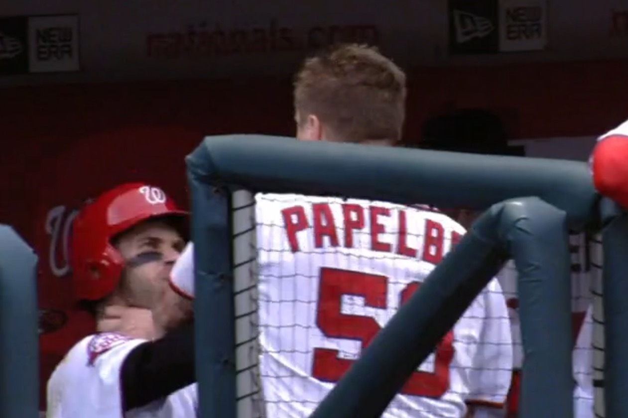 Bryce Harper and Jonathan Papelbon Exchange Words, Brawl in Dugout, News,  Scores, Highlights, Stats, and Rumors