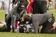 Baltimore Ravens wide receiver Steve Smith (89) is poked at by trainers after being injured in the third quarter of an NFL football game against the Pittsburgh Steelers, Thursday, Oct. 1, 2015 in Pittsburgh. (AP Photo/Gene J. Puskar)