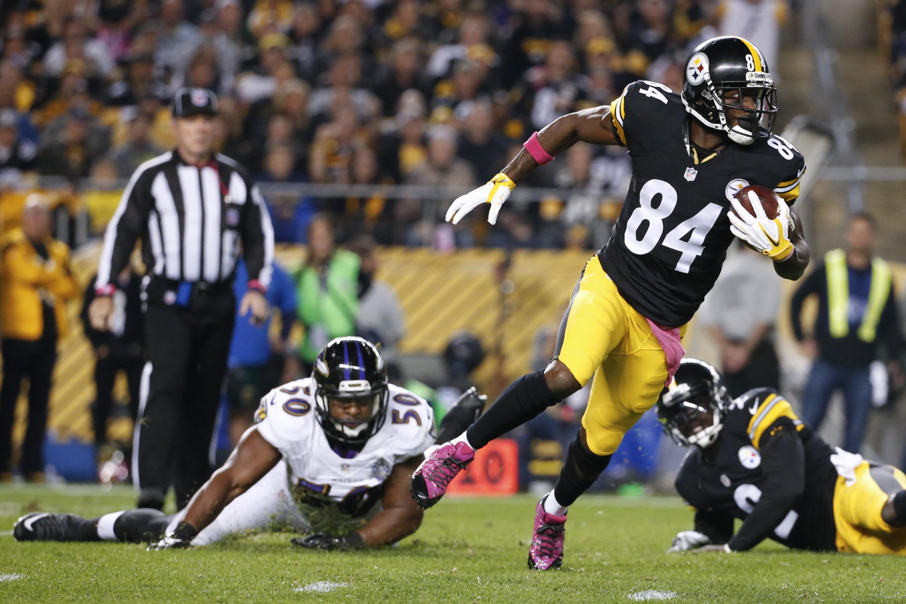 Pittsburgh Steelers quarterback Mike Vick (2) steps back to pass to Pittsburgh  Steelers wide receiver Antonio Brown (84) in the first quarter against the  Arizona Cardinals at Heinz Field in Pittsburgh on