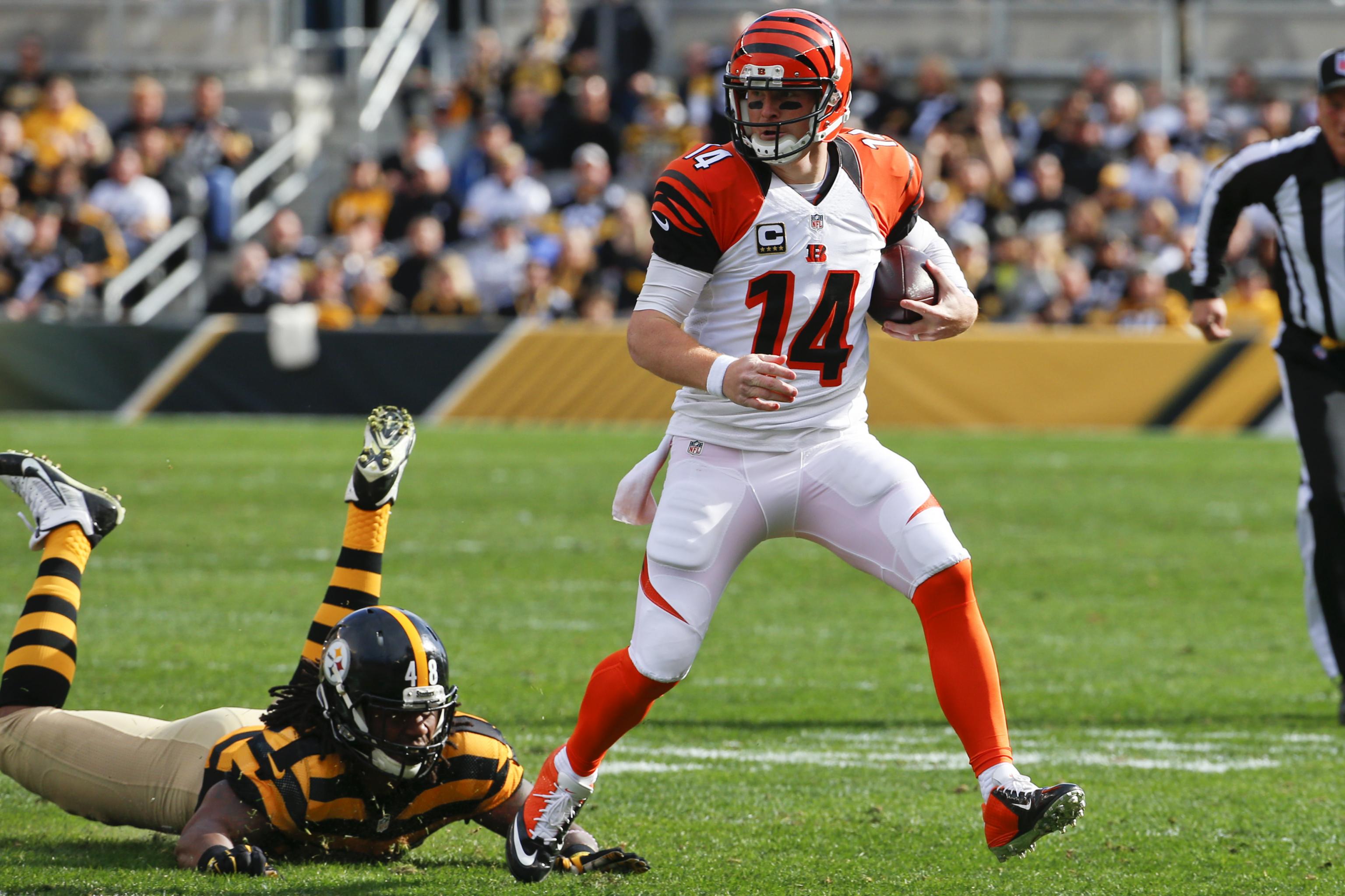 Steelers Vs Bengals Winners And Losers - Steelers Depot