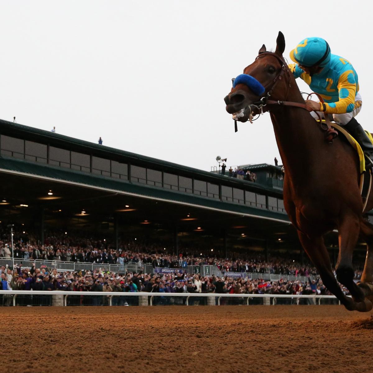 American Pharoah Stud Fee Will Be 200,000 Per Live Foal Bleacher