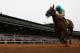 LEXINGTON, KY - OCTOBER 31: Jockey Victor Espinoza celebrates after riding American Pharoah # 4 to victory in the Breeders' Cup Classic at Keeneland Racecourse on October 31, 2015 in Lexington, Kentucky. (Photo by Rob Carr/Getty Images)