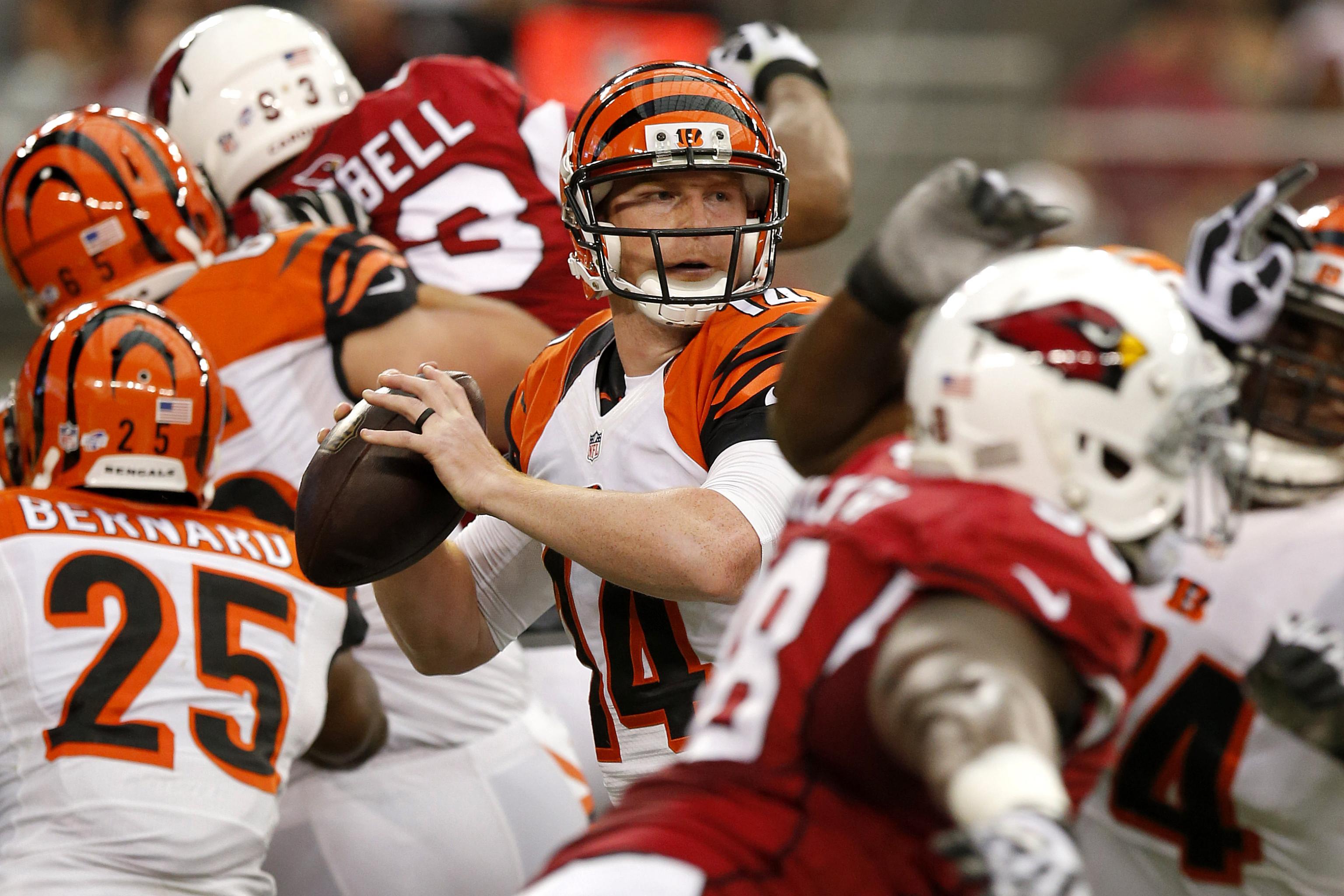 Carson Palmer Highlights (Week 11), Bengals vs. Cardinals