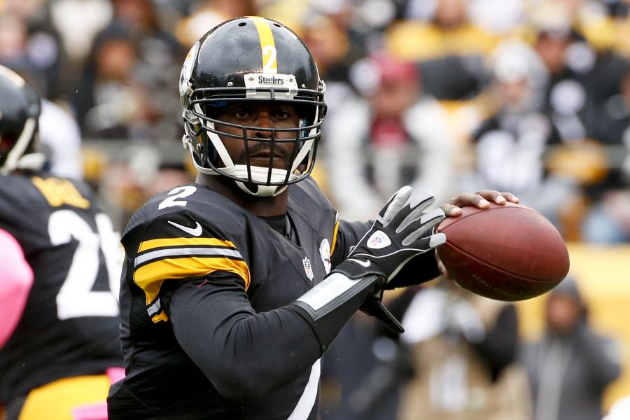 Mike Vick hoping for one more season in Pittsburgh