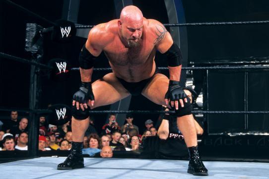 bill goldberg the rock