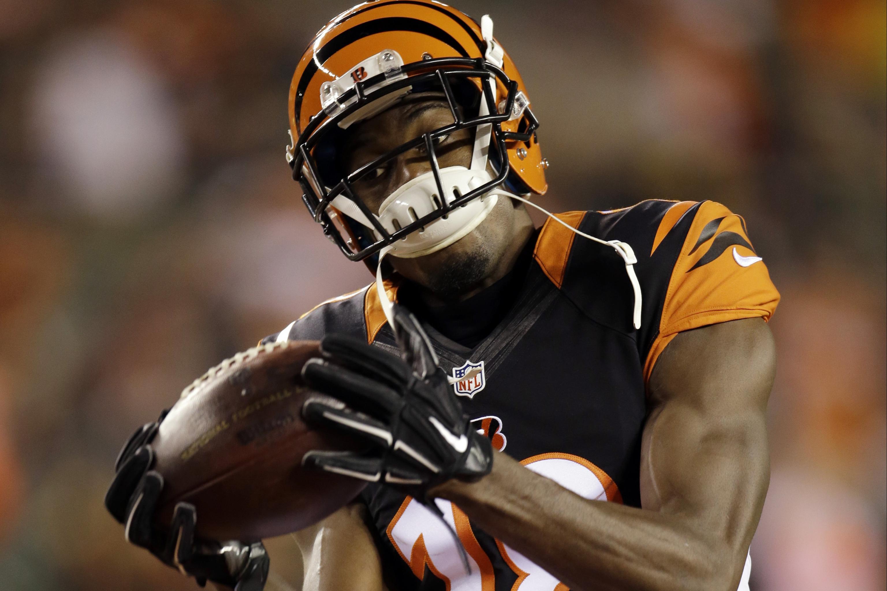 Cincinnati Bengals Odds Tracker: Latest Bengals Betting Lines