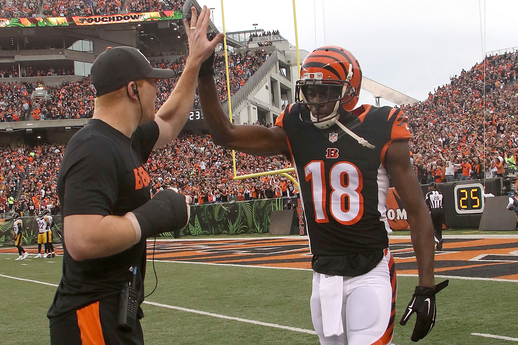 Bengals React to Win Over Ravens  AFC North Champions Celebration 