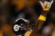 It was a tale of two halves for the Steelers against the Broncos on Sunday. And, to the Steelers' credit, the second half was their best.