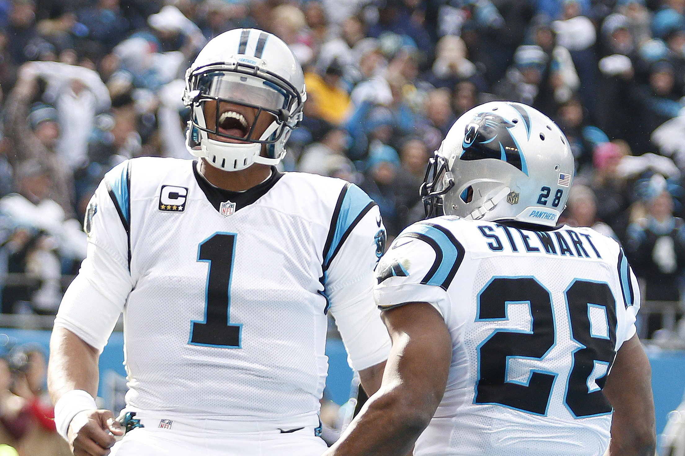 NFL playoff bracket 2016 update: Panthers advance to NFC Championship vs.  Cardinals 