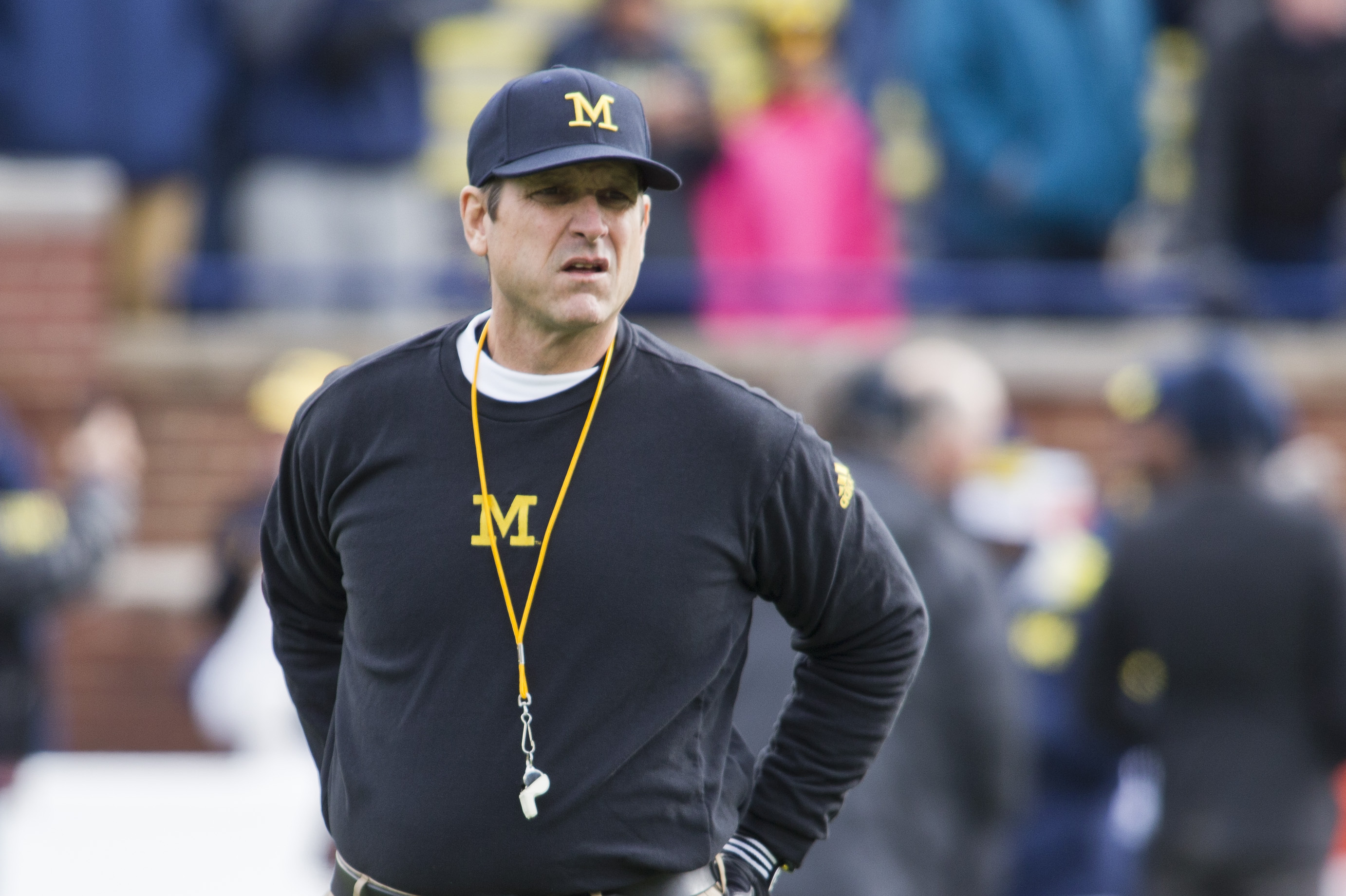 A Jersey Guy: Harbaugh has right stuff-again - TMG Sports