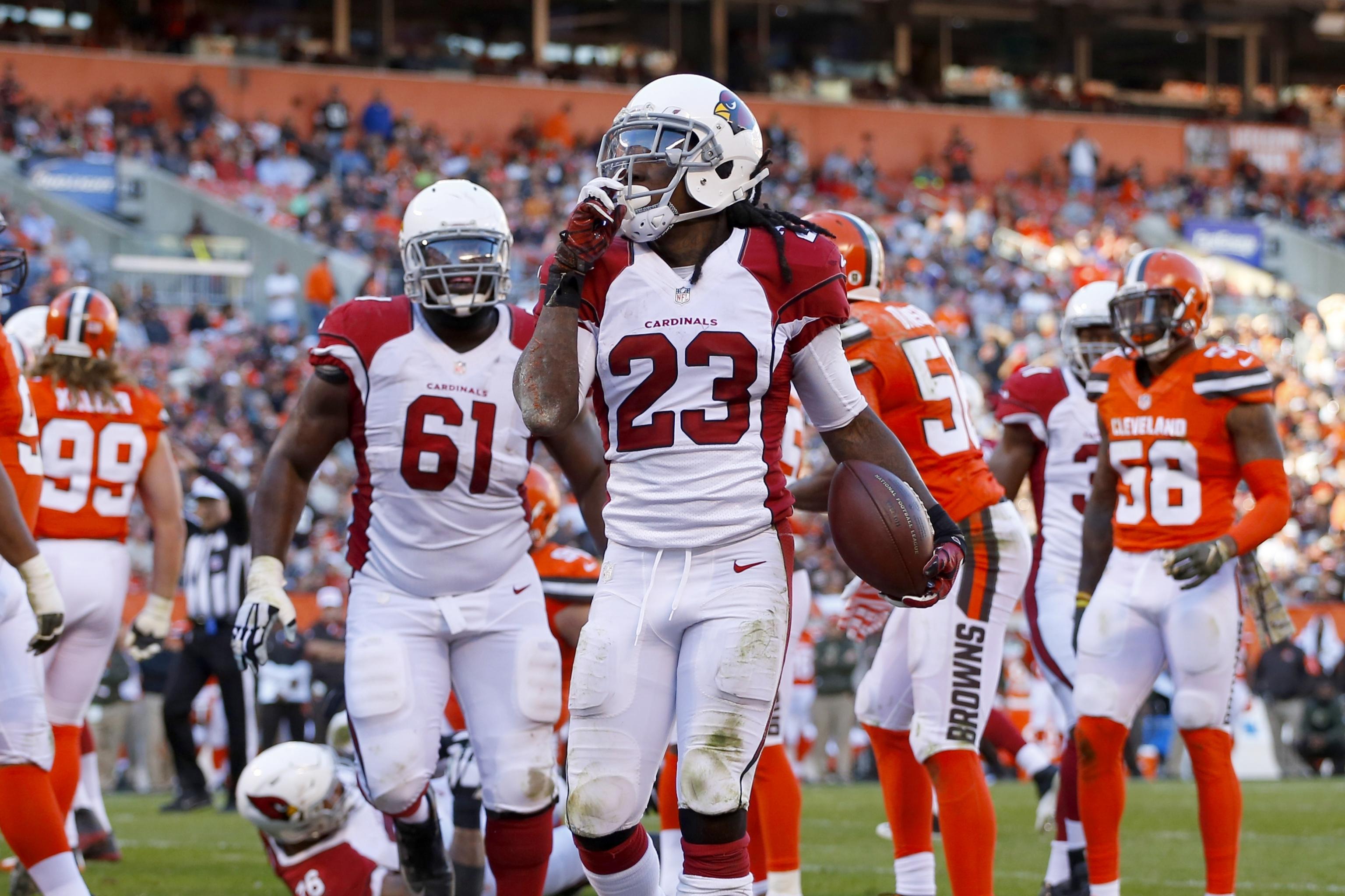 VIDEO: Amazing Replay Confirmed Arizona Cardinals Touchdown