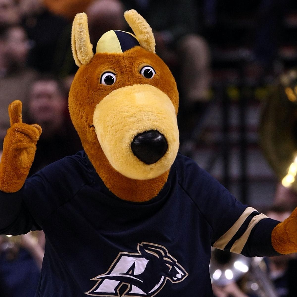 The Akron Zips & D1 College Mascots Nobody Has Ever Seen in Real Life