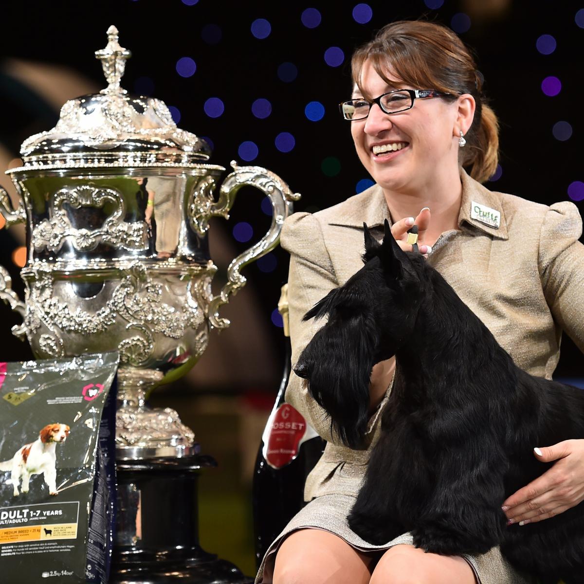 Crufts 2016 Dog Show Dates, Times, Live Stream, TV Schedule and