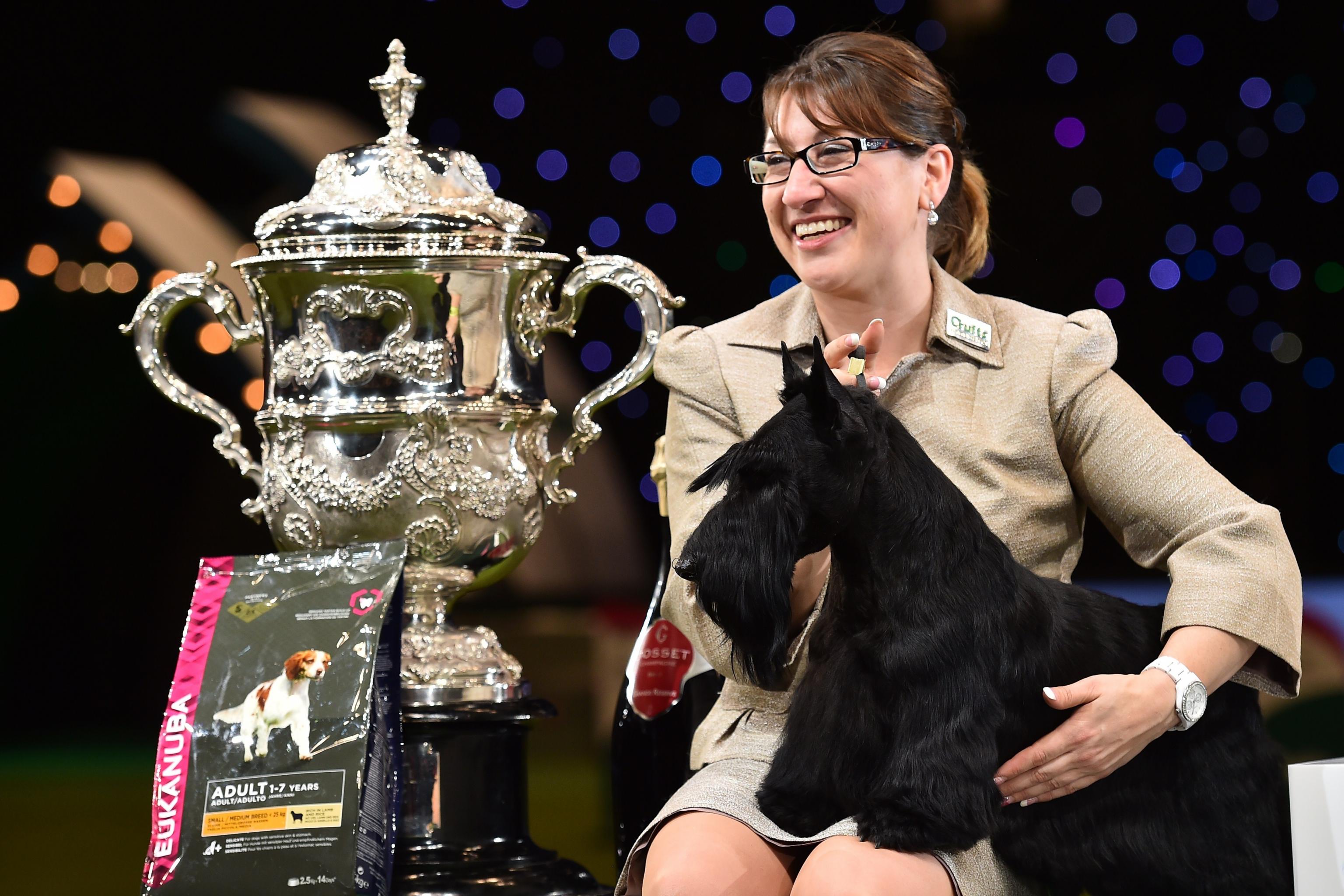 what day is terrier day at crufts 2019