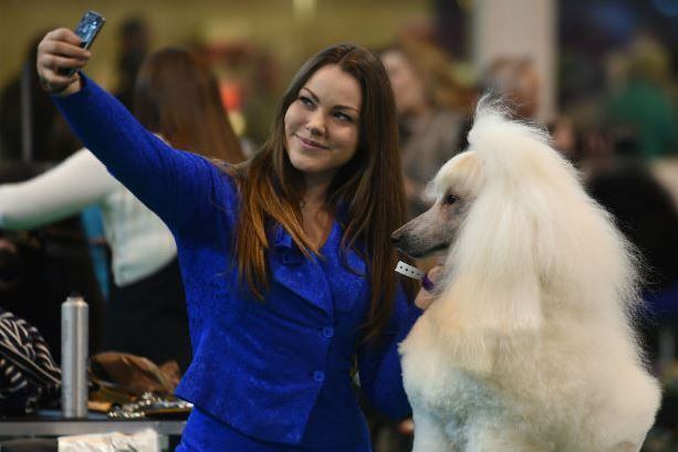 Dog Named Cristiano Ronaldo Enters Crufts Dog Show Bleacher Report Latest News Videos And Highlights