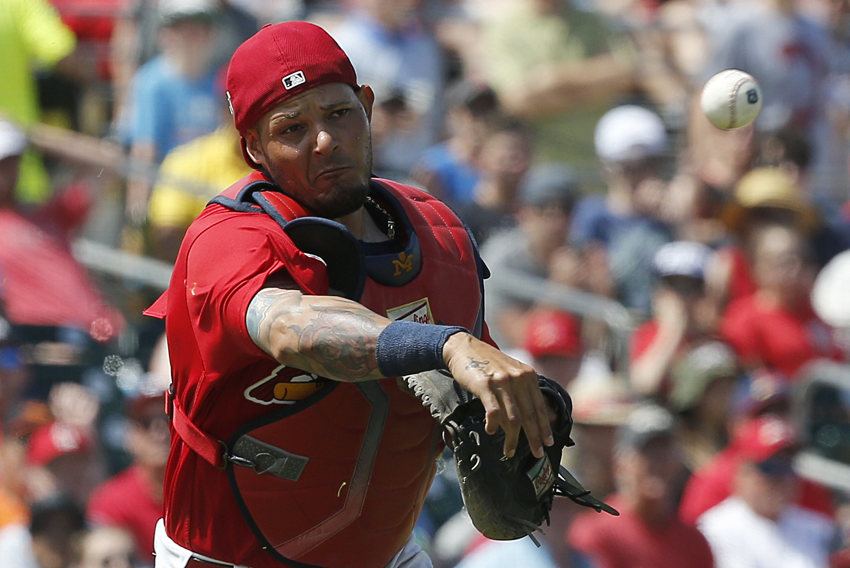 Yadier Molina: Cards catcher out after surgery - Sports Illustrated