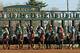 Horses break from the gate to start the 91st running of the Blue Grass Stakes horse race at Keeneland Race Course in Lexington, Ky., Saturday, April. 4, 2015. (AP Photo/Garry Jones)