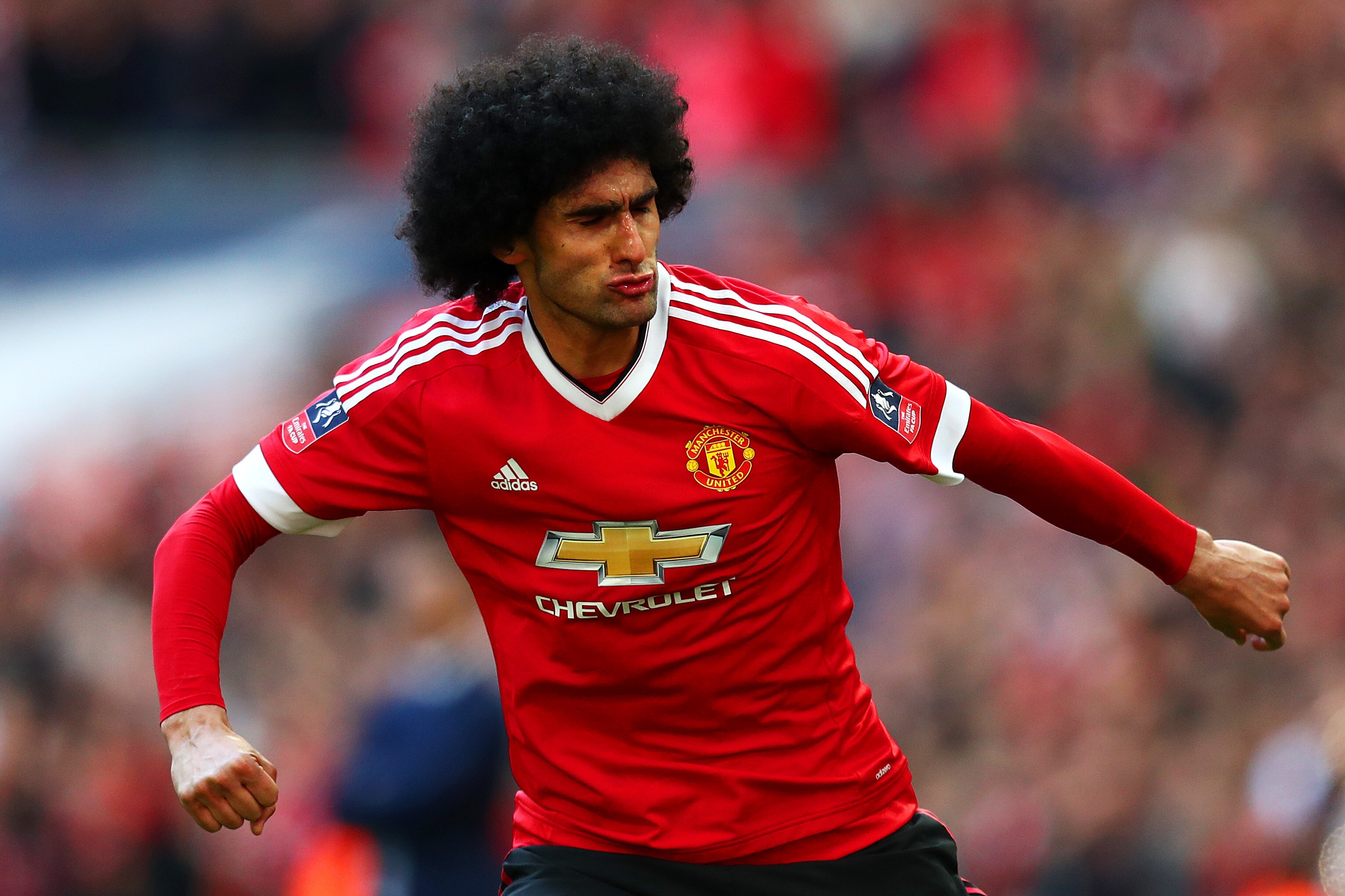 Manchester United Transfer News Marouane Fellaini Mats Hummels