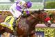 HALLANDALE BEACH, FL- APRIL 02: Nyquist #4 remains unbeaten as he wins the Florida Derby with jockey Mario Gutierrez at Gulfstream Park on April 02, 2016 in Hallandale Beach, Florida. (Photo by Liz Lamont/Eclipse Sportswire/Getty Images)