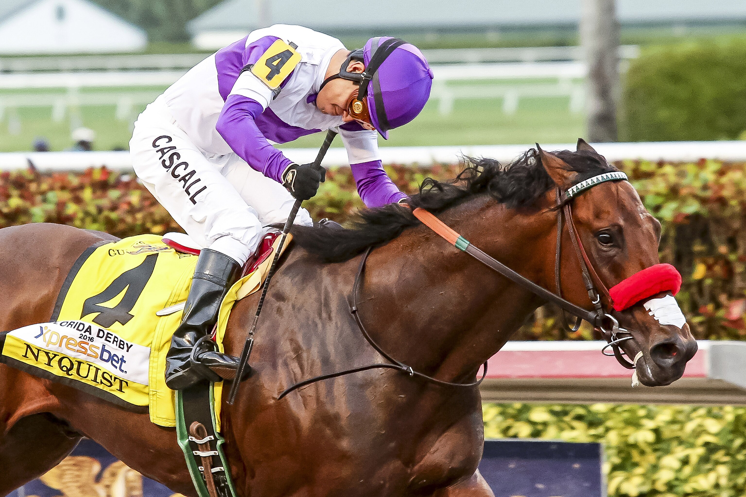 Kentucky Derby 16 Early Odds And Predictions For Entire Entry Lineup Bleacher Report Latest News Videos And Highlights