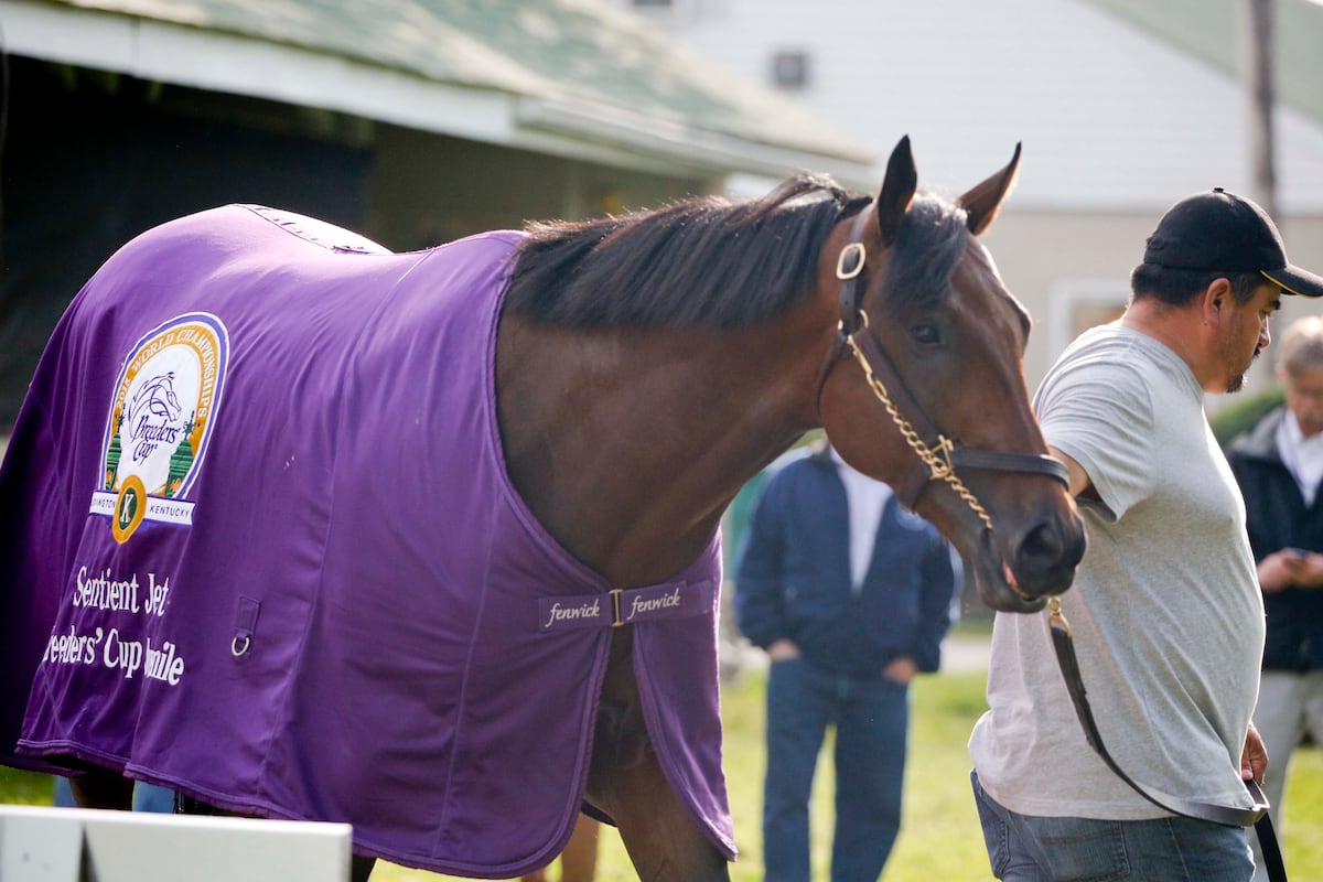 Kentucky Derby 2016 Odds Picks, DarkHorse Contenders and More News