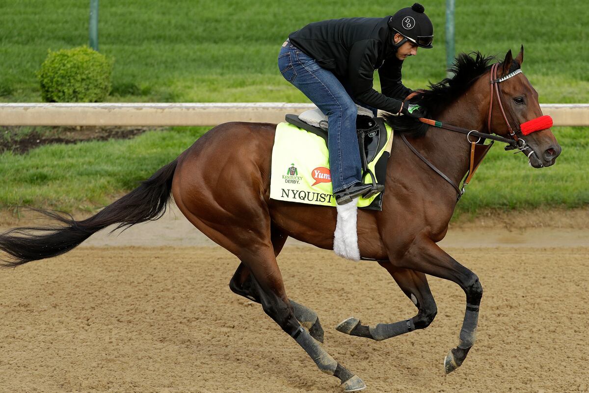 Kentucky Derby 2016 Post Time Race Schedule, Live Stream and NBC TV Info News, Scores
