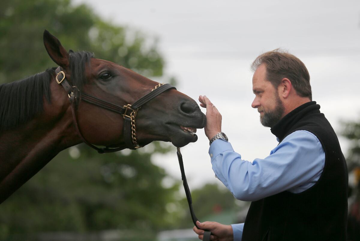 Kentucky Derby 2016 Latest Purse Payout, Vegas Betting Odds and Field
