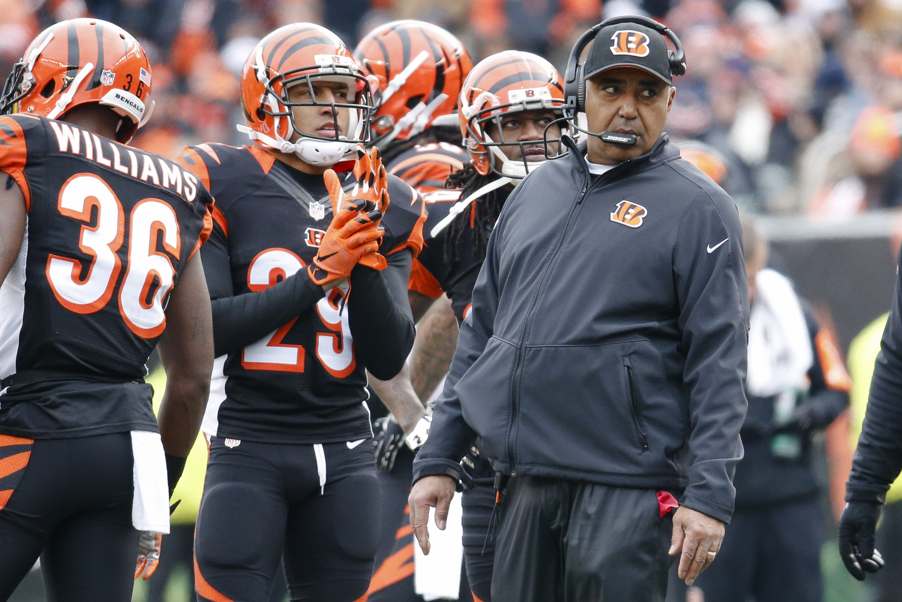 2013 Afc North Champs  Marvin lewis, Champion, Cincinnati bengals