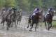 Exaggerator, left, with Kent Desormeaux aboard moves up on Nyquist (3) with Mario Gutierrez aboard during the 141st Preakness Stakes horse race at Pimlico Race Course, Saturday, May 21, 2016, in Baltimore. Exaggerator won the race. (AP Photo/Garry Jones)